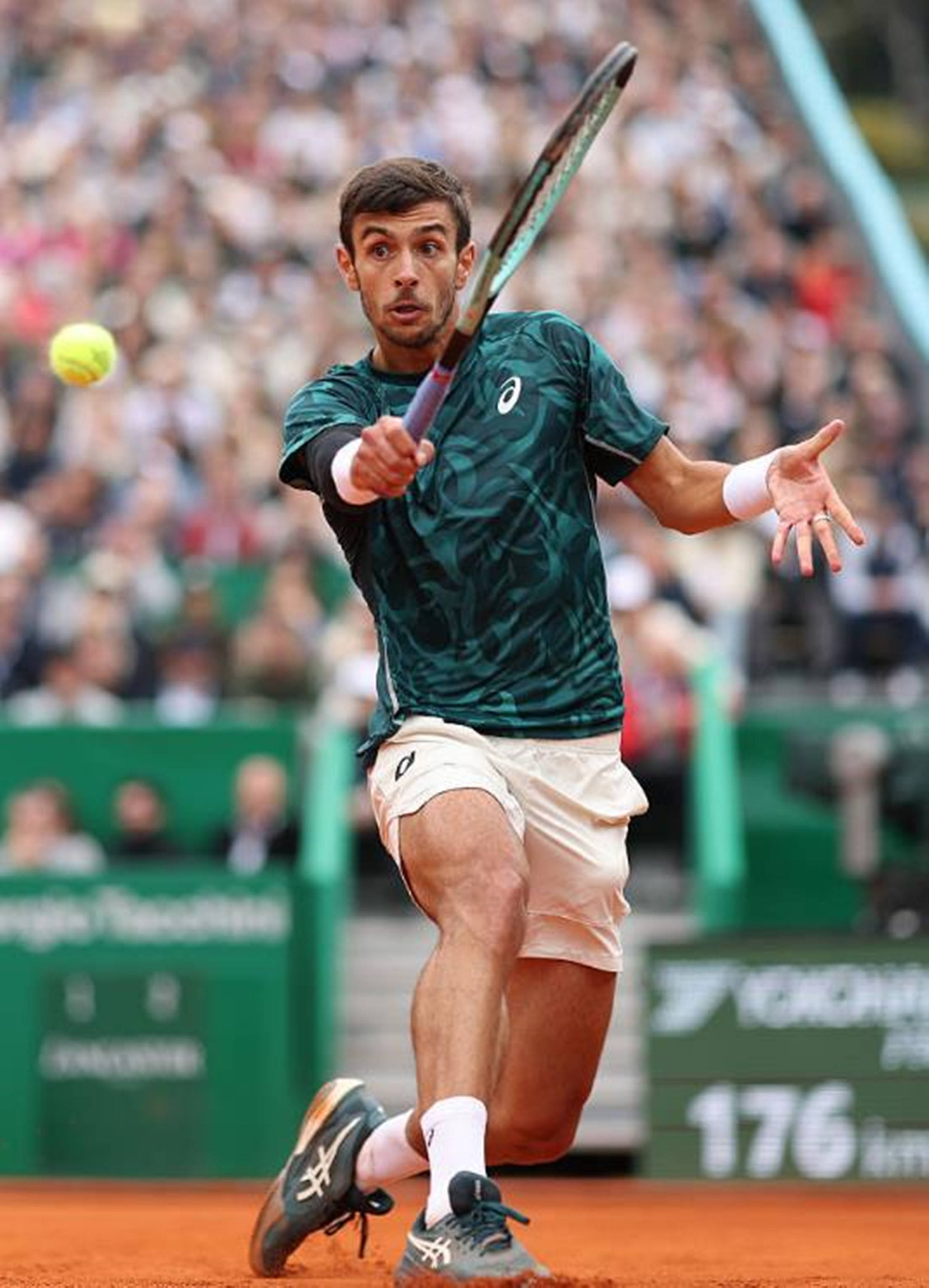 样至关重要 样至关重要